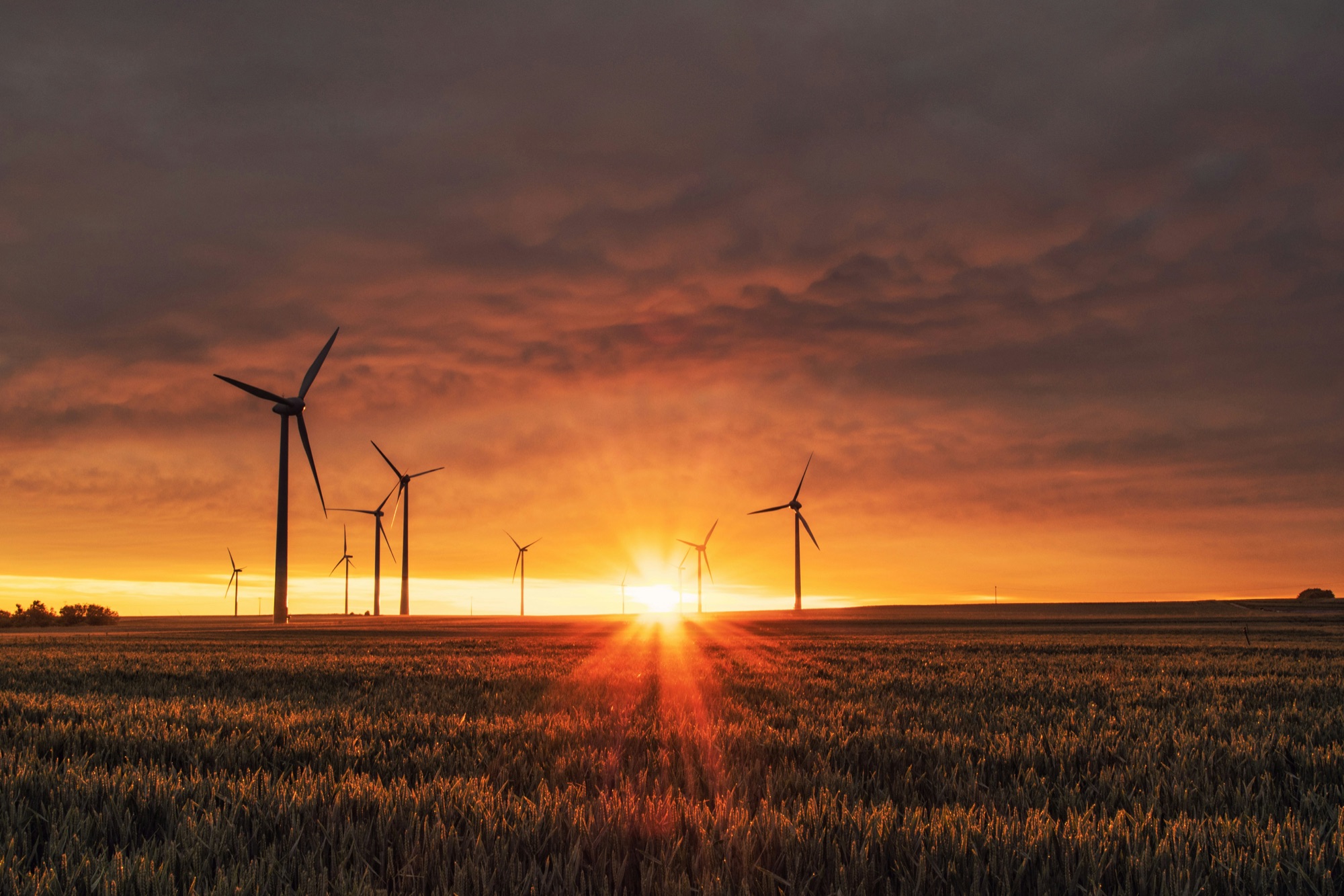 Environment-Focused Investment